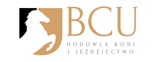 logo BCU (500 x 200 px)
